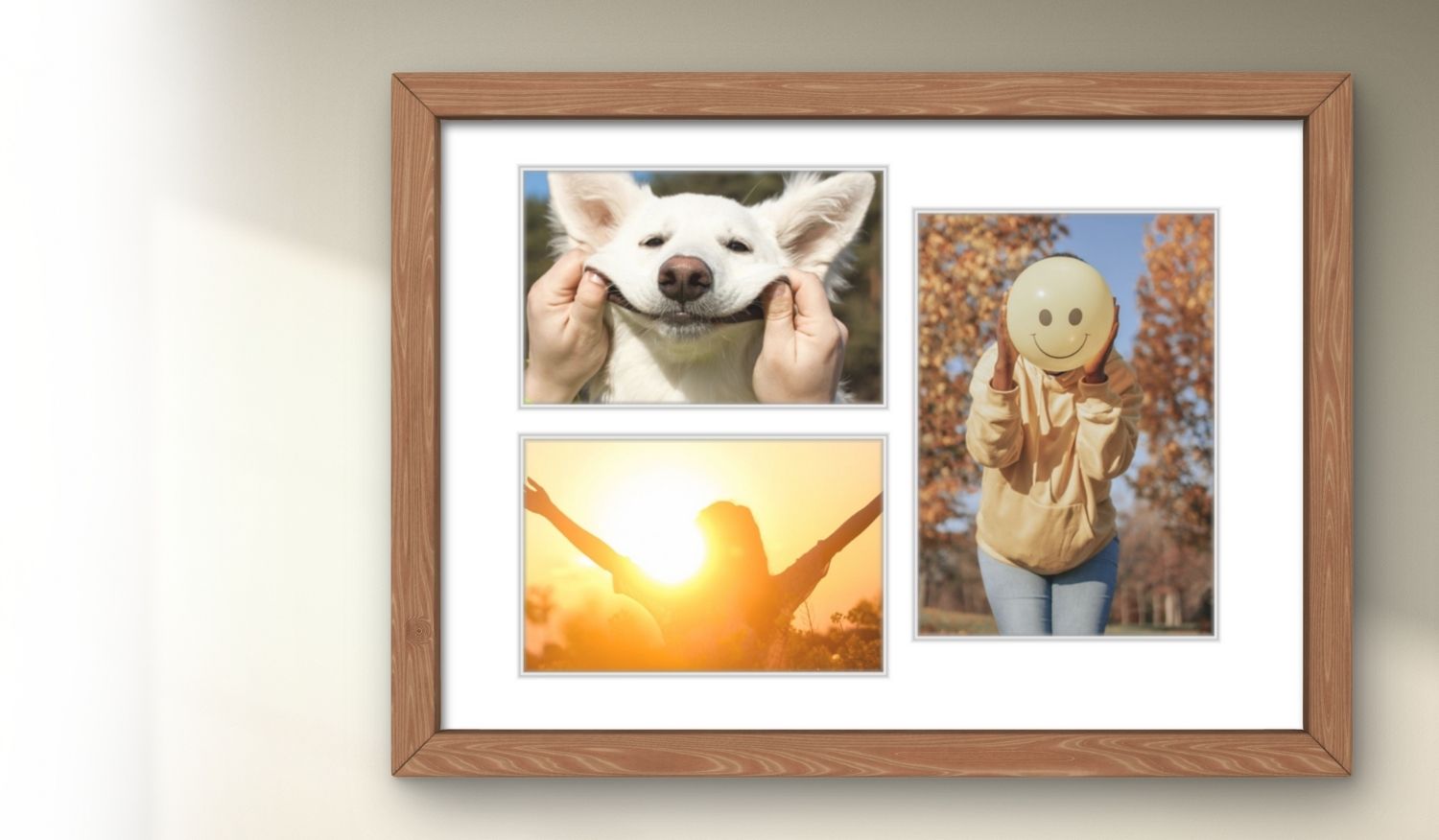11x14 Multi-Opening Matboard