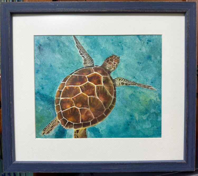 Buffy Weiss | Sea Turtle