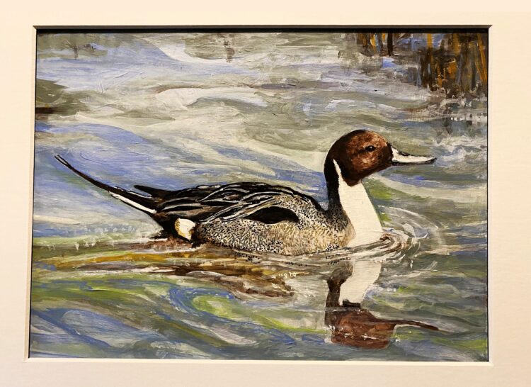 Carolyn Jenkins | Michigan Duck Stamp