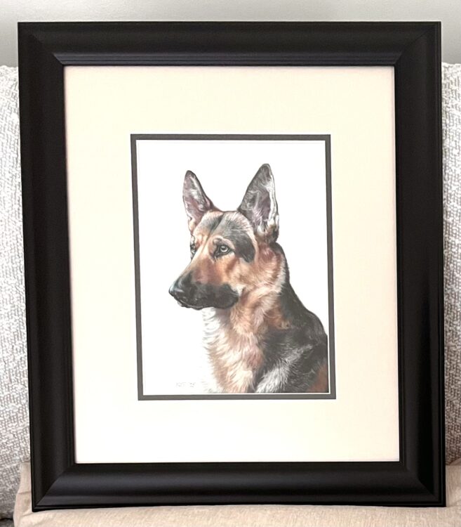 Kathleen Taylor | German Shepherd