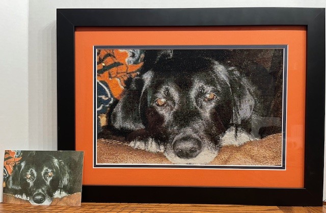 Renae Hammond | For the Love of Breyer